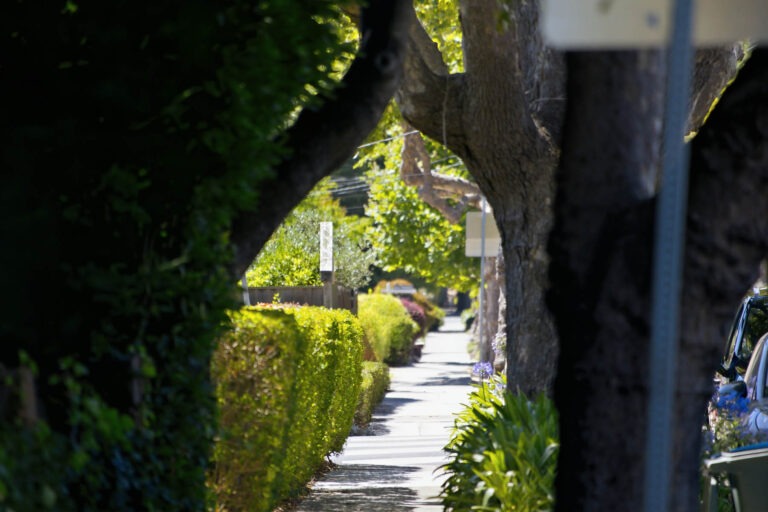 80-print-IMG_0430